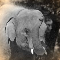 Nostalgie Elefant von kattobello