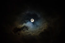 Moony by vasa-photography