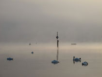 Ein nebliger Morgen am See von Christine Horn