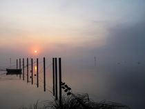 Misty morning by Christine Horn