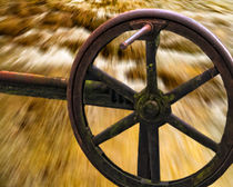 old locks wheel by Michael Naegele