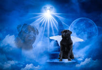 Black Pug Dog Angel standing on heaven's door by Sapan Patel