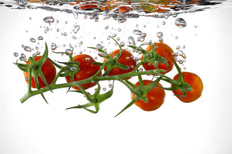 Tomatenrispe_02_60x40