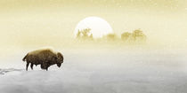 Einsamer Bison im Schnee - Lonely bison in the snow by Monika Juengling