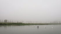Tristesse am See by Christine Horn