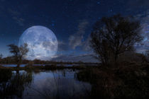 Moon over the Dnieper River von maxal-tamor