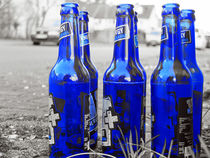 Die blauen Flaschen by Eva Dust