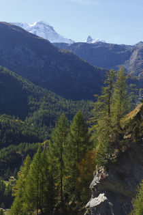Breithorn und Klein Matterhorn von Torsten Krüger