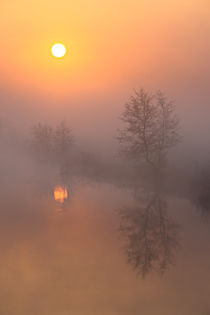 Nebel, Sonne und der Fluss by Bernhard Kaiser