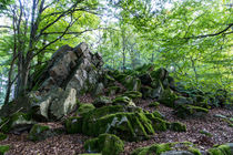 Grauer Stein im grünen Wald by Ronald Nickel