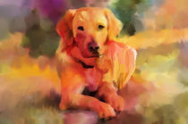 Golden Retriever Dog Water color Art by Sapan Patel