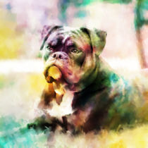 Bulldog Painting Colorful Art by Sapan Patel