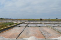Salt field by melinaestrangeira