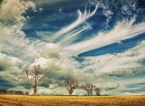 Cloudscape With Trees by Nigel Finn