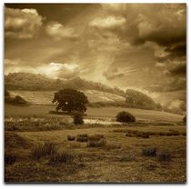 The Marshwood Vale by Nigel Finn