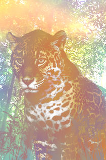 Jaguar von Pedro  Barros