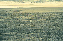 lonely beach by Mirko Lehne