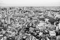 Tokyo Cityview from the Skytree von Mirko Lehne
