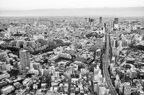 Tokyo Cityview from the Skytree by Mirko Lehne