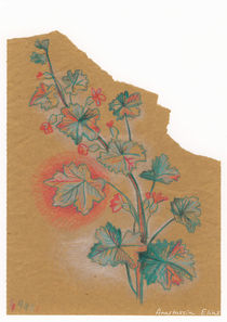 Plante 1 - 211216 by Anastassia Elias