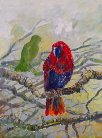 Eclectus parrot II von Geoff Amos