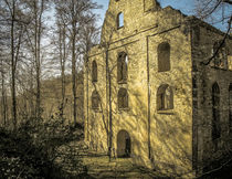 Ruine Maria Hilf bei Mühlheim a. d. Donau von Christine Horn