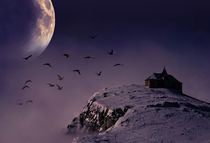Bat Moon von Simone Wunderlich
