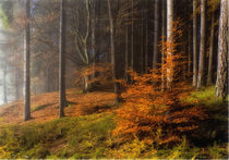 Verzauberter Herbst by Simone Wunderlich