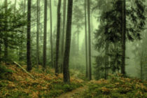 Verzauberter Wald by Simone Wunderlich
