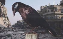 BIRD OF DEATH by Ivan de Faveri