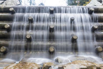 Holzstamm Wasserfall von Rolf Meier
