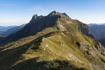 Steinfalke Aufstieg Südseite von Rolf Meier