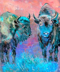 buffaloes von pol ledent