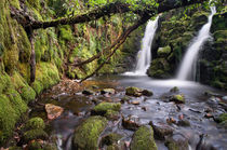 Vennford Waterfall on Dartmoor von Pete Hemington