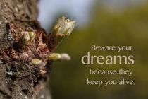 Beware Your Dreams by STEFARO .