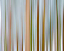 Blur by Martin Schmidt