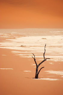 NAMIBIA ... Deadvlei by meleah