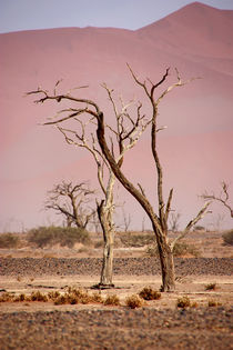 NAMIBIA ... pastel tones I by meleah