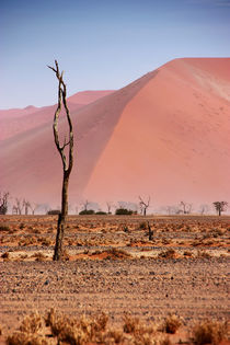 NAMIBIA ... pastel tones II von meleah