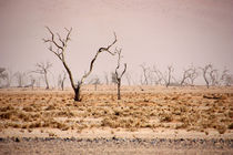 NAMIBIA ... pastel tones III von meleah