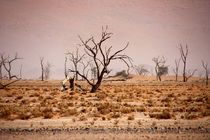 NAMIBIA ... pastel tones IV von meleah