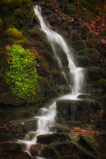 Small waterfalls at Melincourt Brook by Leighton Collins