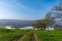 Sonniger Weg in den Nebel by Ronald Nickel