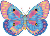 Schmetterling von Lorenz Mai