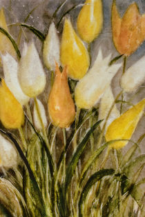 Yellow and white Tulips - Gelbe und weiße Tulpen by Chris Berger