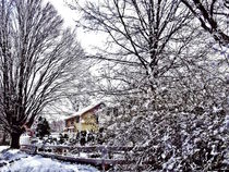 Winter Scene von Susan Savad