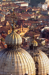 Doge's Palace Domes & Venice Rooftops by David Halperin