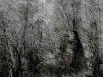 CONTRE DEFRAGMENTATION by philippe berthier