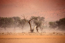NAMIBIA ... through the storm I von meleah