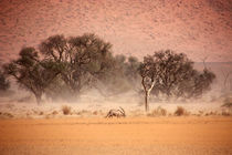NAMIBIA ... through the storm II von meleah